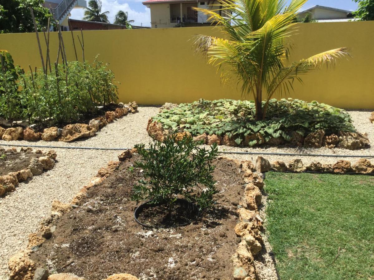 Cc Best Villas Tobago Lowlands Ngoại thất bức ảnh
